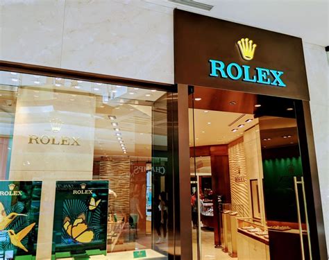 rolex dealers tampa.